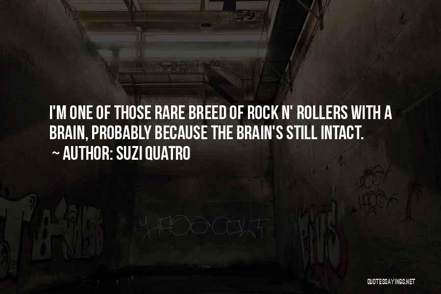 Suzi Quatro Quotes: I'm One Of Those Rare Breed Of Rock N' Rollers With A Brain, Probably Because The Brain's Still Intact.