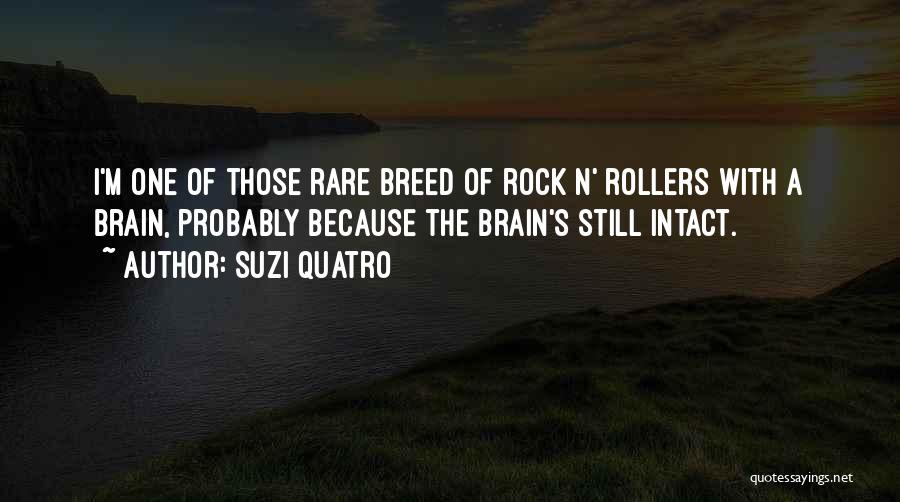 Suzi Quatro Quotes: I'm One Of Those Rare Breed Of Rock N' Rollers With A Brain, Probably Because The Brain's Still Intact.