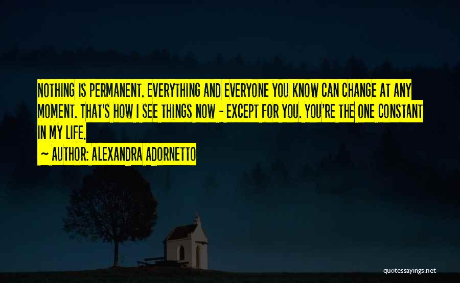 Alexandra Adornetto Quotes: Nothing Is Permanent. Everything And Everyone You Know Can Change At Any Moment. That's How I See Things Now -