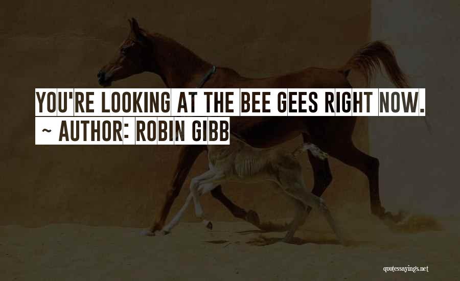 Robin Gibb Quotes: You're Looking At The Bee Gees Right Now.