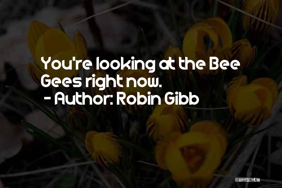 Robin Gibb Quotes: You're Looking At The Bee Gees Right Now.
