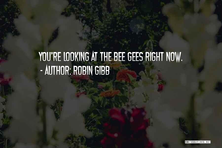 Robin Gibb Quotes: You're Looking At The Bee Gees Right Now.