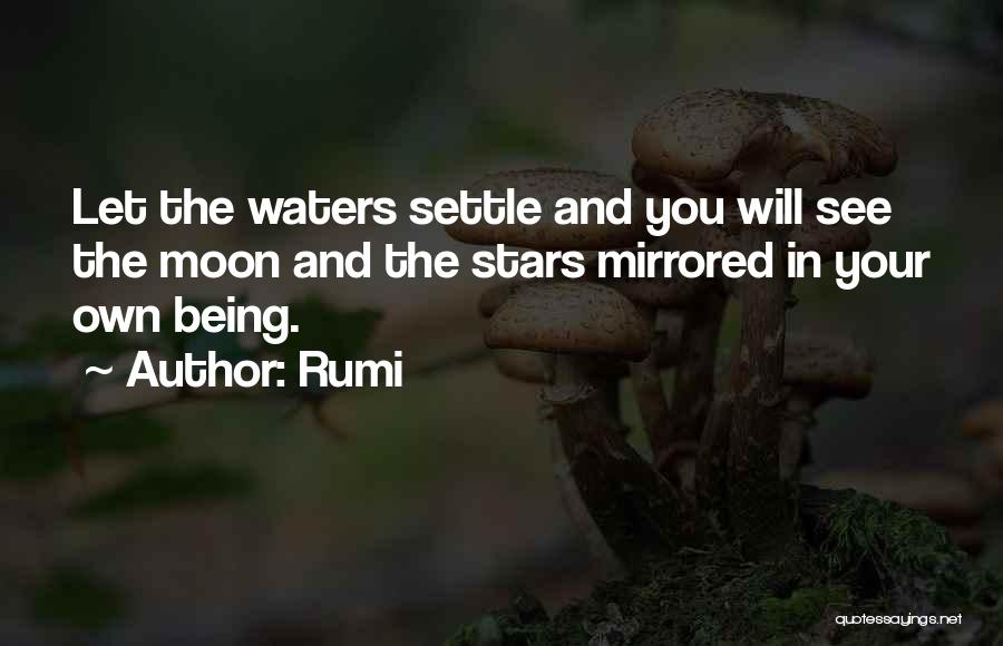 Rumi Quotes: Let The Waters Settle And You Will See The Moon And The Stars Mirrored In Your Own Being.