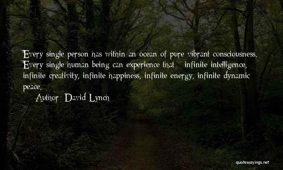 David Lynch Quotes: Every Single Person Has Within An Ocean Of Pure Vibrant Consciousness. Every Single Human Being Can Experience That - Infinite