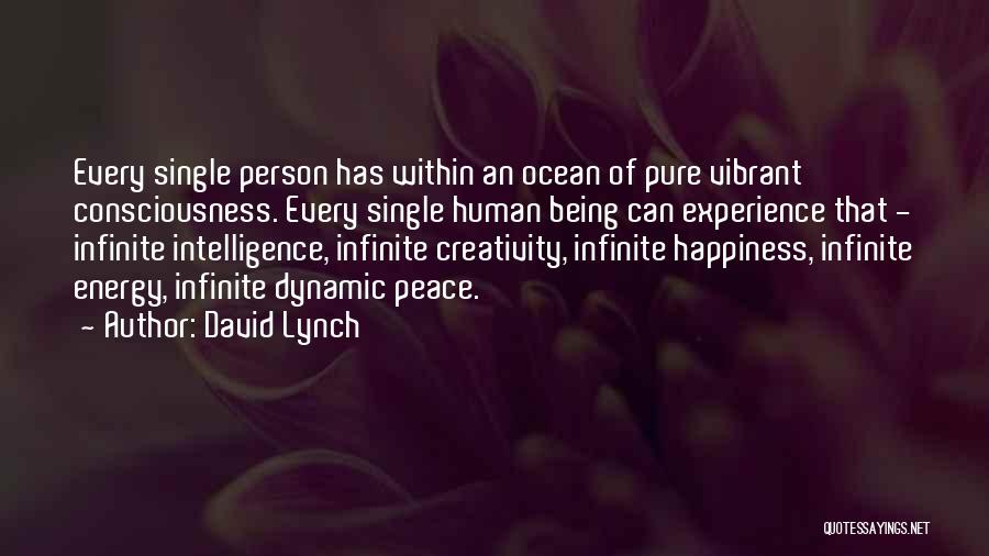 David Lynch Quotes: Every Single Person Has Within An Ocean Of Pure Vibrant Consciousness. Every Single Human Being Can Experience That - Infinite