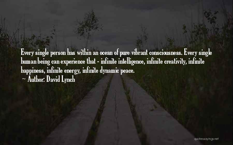 David Lynch Quotes: Every Single Person Has Within An Ocean Of Pure Vibrant Consciousness. Every Single Human Being Can Experience That - Infinite