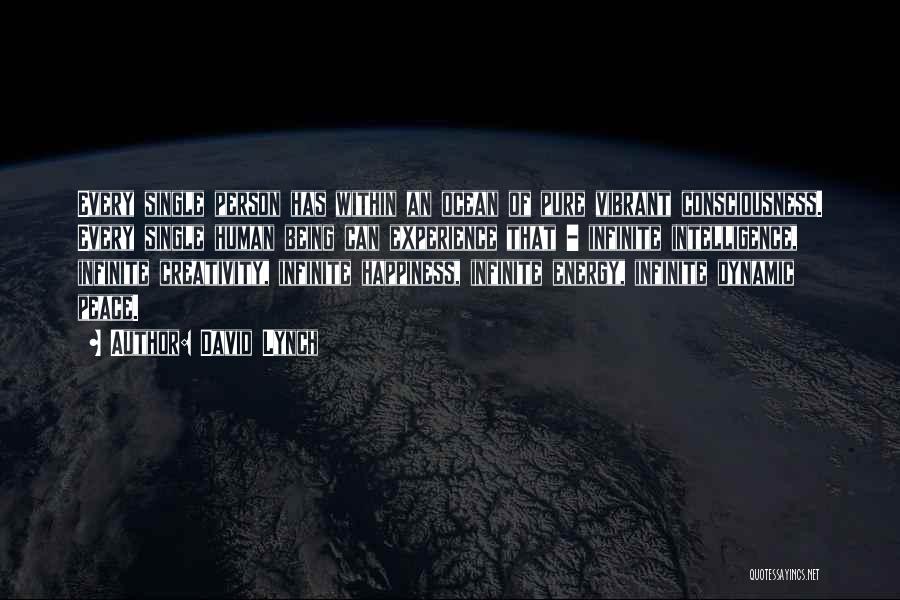 David Lynch Quotes: Every Single Person Has Within An Ocean Of Pure Vibrant Consciousness. Every Single Human Being Can Experience That - Infinite