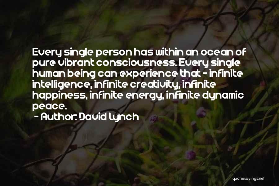 David Lynch Quotes: Every Single Person Has Within An Ocean Of Pure Vibrant Consciousness. Every Single Human Being Can Experience That - Infinite