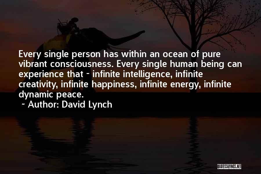 David Lynch Quotes: Every Single Person Has Within An Ocean Of Pure Vibrant Consciousness. Every Single Human Being Can Experience That - Infinite