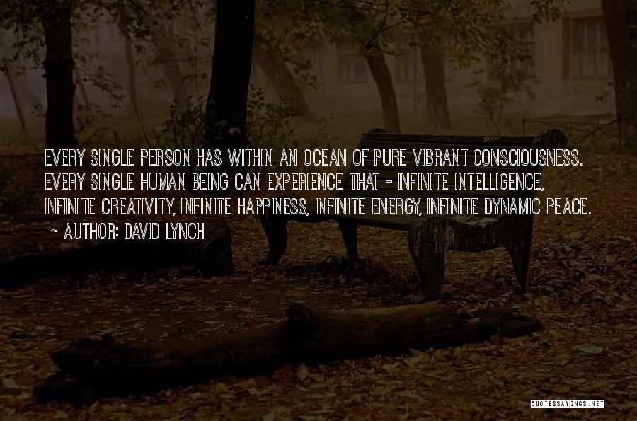 David Lynch Quotes: Every Single Person Has Within An Ocean Of Pure Vibrant Consciousness. Every Single Human Being Can Experience That - Infinite