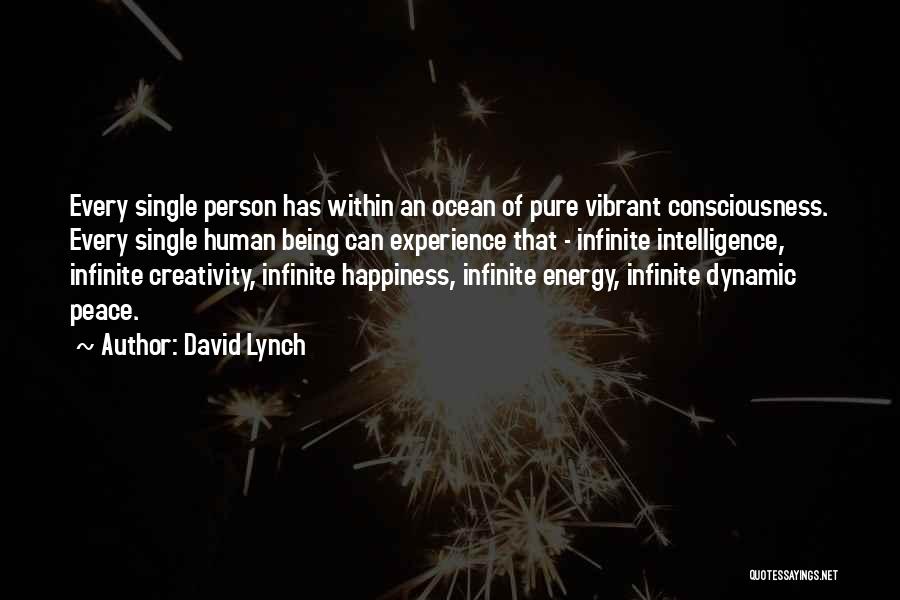 David Lynch Quotes: Every Single Person Has Within An Ocean Of Pure Vibrant Consciousness. Every Single Human Being Can Experience That - Infinite