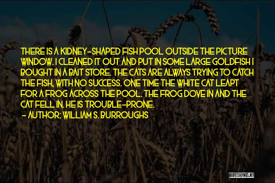 William S. Burroughs Quotes: There Is A Kidney-shaped Fish Pool Outside The Picture Window. I Cleaned It Out And Put In Some Large Goldfish