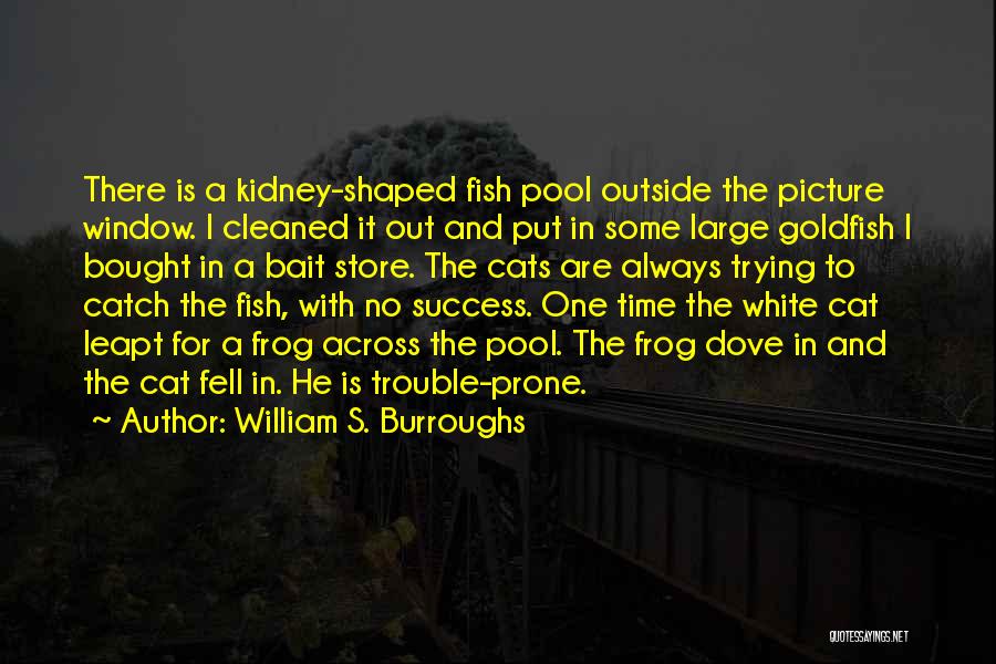 William S. Burroughs Quotes: There Is A Kidney-shaped Fish Pool Outside The Picture Window. I Cleaned It Out And Put In Some Large Goldfish