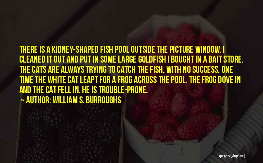 William S. Burroughs Quotes: There Is A Kidney-shaped Fish Pool Outside The Picture Window. I Cleaned It Out And Put In Some Large Goldfish