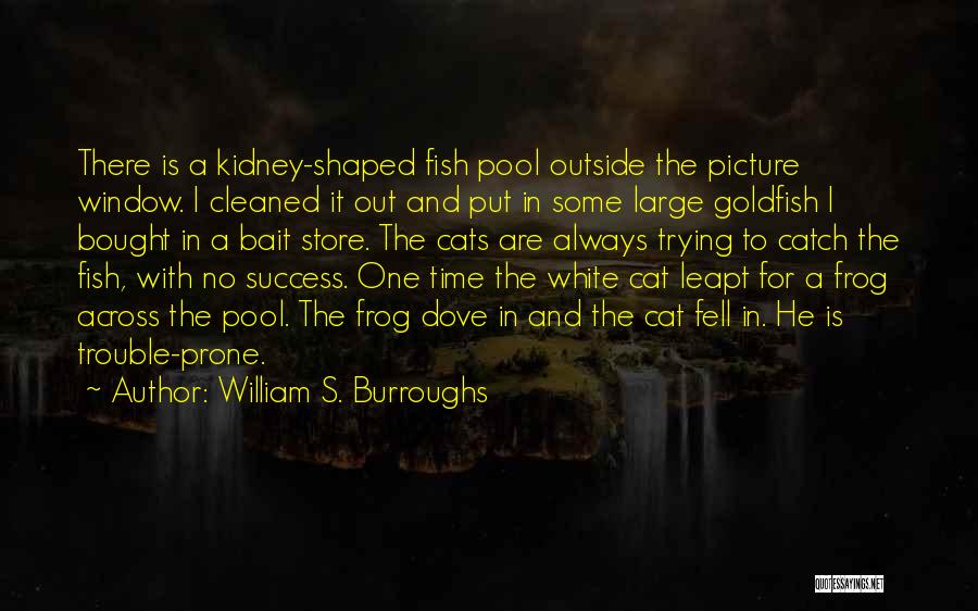 William S. Burroughs Quotes: There Is A Kidney-shaped Fish Pool Outside The Picture Window. I Cleaned It Out And Put In Some Large Goldfish