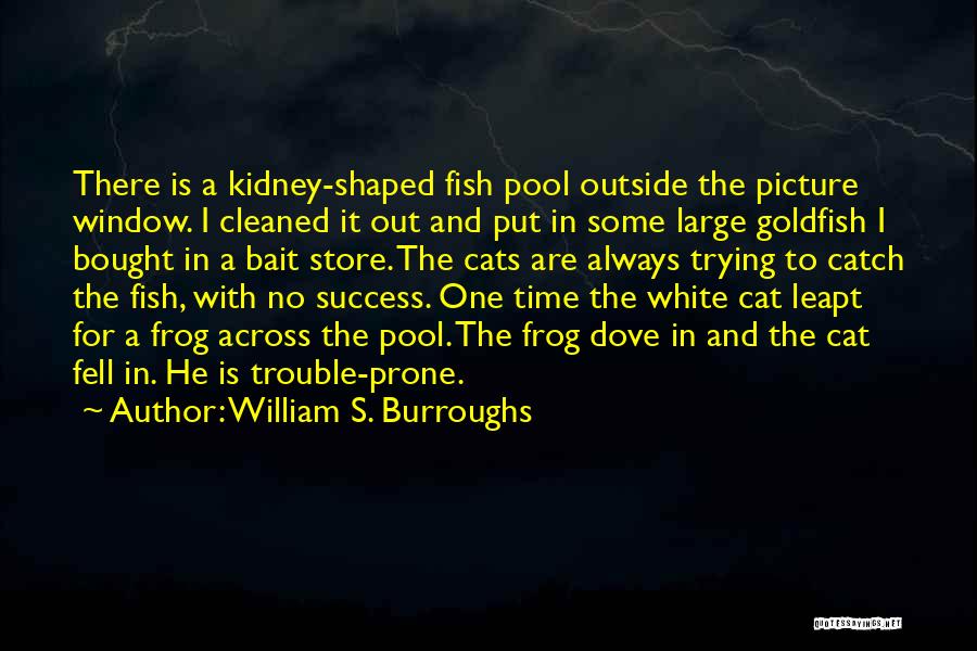 William S. Burroughs Quotes: There Is A Kidney-shaped Fish Pool Outside The Picture Window. I Cleaned It Out And Put In Some Large Goldfish