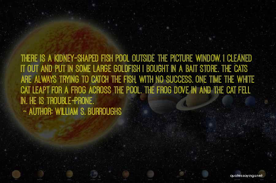 William S. Burroughs Quotes: There Is A Kidney-shaped Fish Pool Outside The Picture Window. I Cleaned It Out And Put In Some Large Goldfish