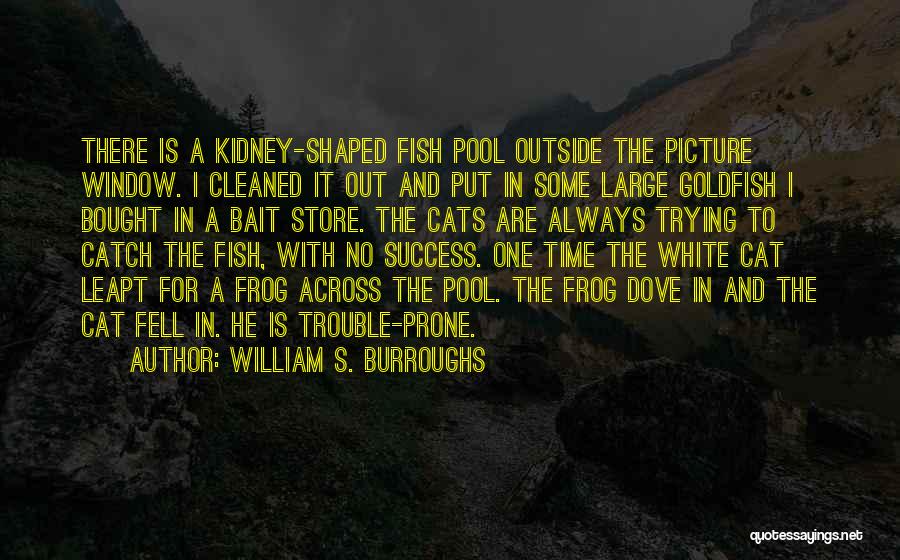 William S. Burroughs Quotes: There Is A Kidney-shaped Fish Pool Outside The Picture Window. I Cleaned It Out And Put In Some Large Goldfish