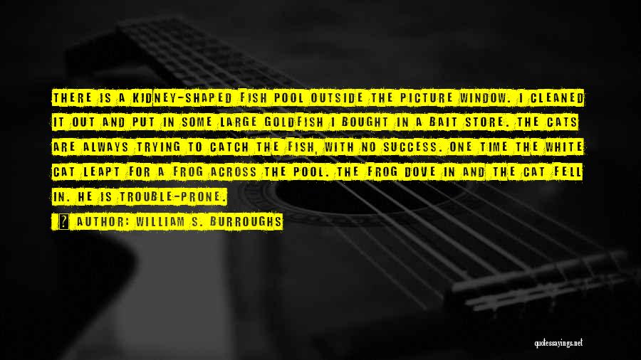 William S. Burroughs Quotes: There Is A Kidney-shaped Fish Pool Outside The Picture Window. I Cleaned It Out And Put In Some Large Goldfish