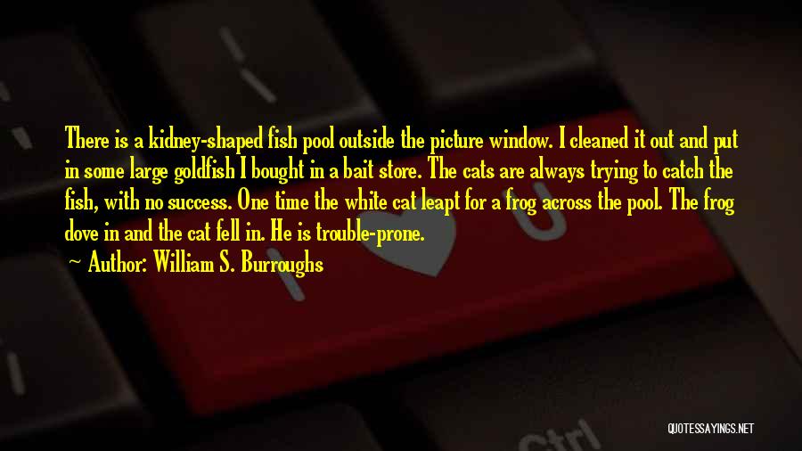 William S. Burroughs Quotes: There Is A Kidney-shaped Fish Pool Outside The Picture Window. I Cleaned It Out And Put In Some Large Goldfish