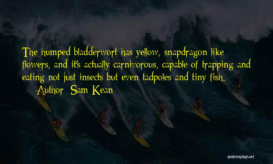 Sam Kean Quotes: The Humped Bladderwort Has Yellow, Snapdragon-like Flowers, And It's Actually Carnivorous, Capable Of Trapping And Eating Not Just Insects But