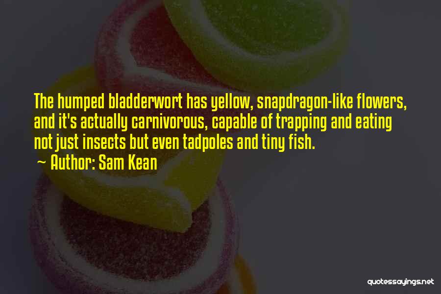 Sam Kean Quotes: The Humped Bladderwort Has Yellow, Snapdragon-like Flowers, And It's Actually Carnivorous, Capable Of Trapping And Eating Not Just Insects But