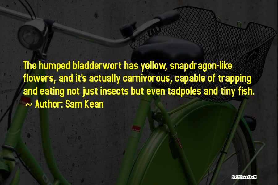 Sam Kean Quotes: The Humped Bladderwort Has Yellow, Snapdragon-like Flowers, And It's Actually Carnivorous, Capable Of Trapping And Eating Not Just Insects But