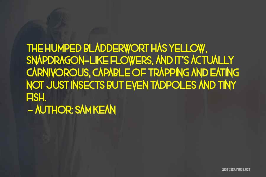 Sam Kean Quotes: The Humped Bladderwort Has Yellow, Snapdragon-like Flowers, And It's Actually Carnivorous, Capable Of Trapping And Eating Not Just Insects But