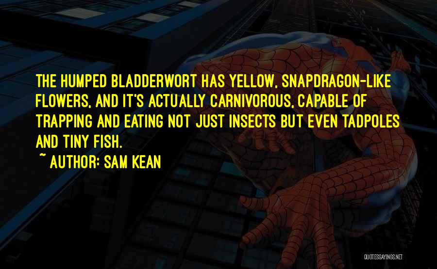 Sam Kean Quotes: The Humped Bladderwort Has Yellow, Snapdragon-like Flowers, And It's Actually Carnivorous, Capable Of Trapping And Eating Not Just Insects But