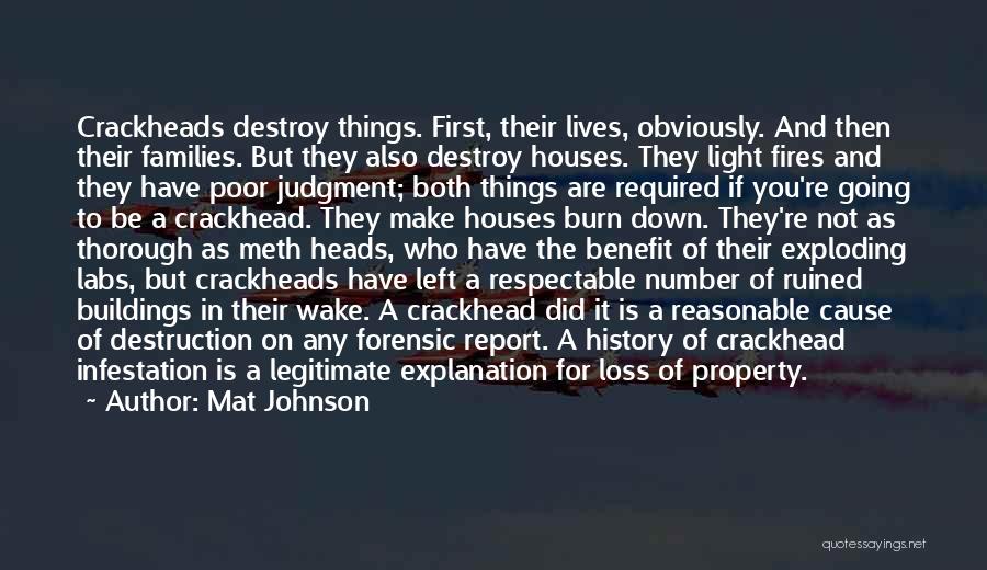 Mat Johnson Quotes: Crackheads Destroy Things. First, Their Lives, Obviously. And Then Their Families. But They Also Destroy Houses. They Light Fires And