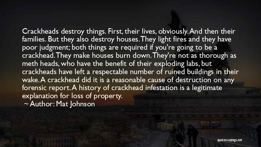 Mat Johnson Quotes: Crackheads Destroy Things. First, Their Lives, Obviously. And Then Their Families. But They Also Destroy Houses. They Light Fires And