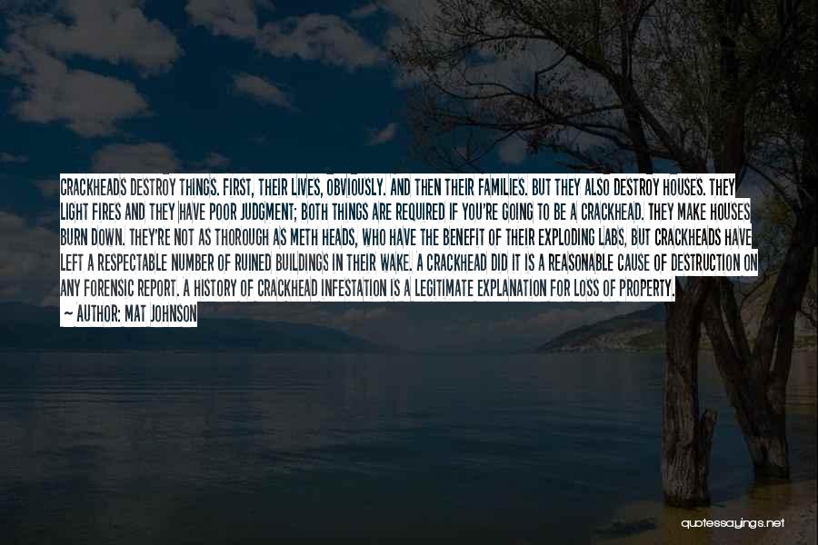 Mat Johnson Quotes: Crackheads Destroy Things. First, Their Lives, Obviously. And Then Their Families. But They Also Destroy Houses. They Light Fires And