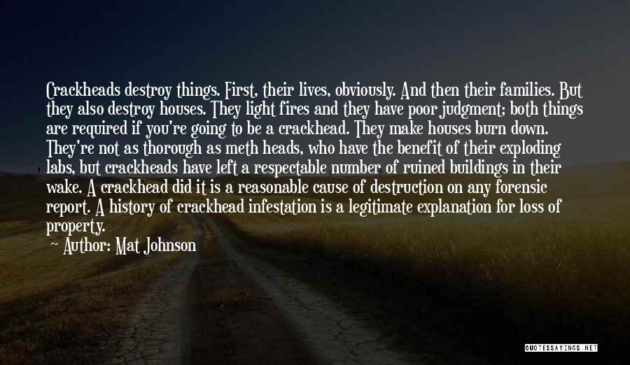 Mat Johnson Quotes: Crackheads Destroy Things. First, Their Lives, Obviously. And Then Their Families. But They Also Destroy Houses. They Light Fires And