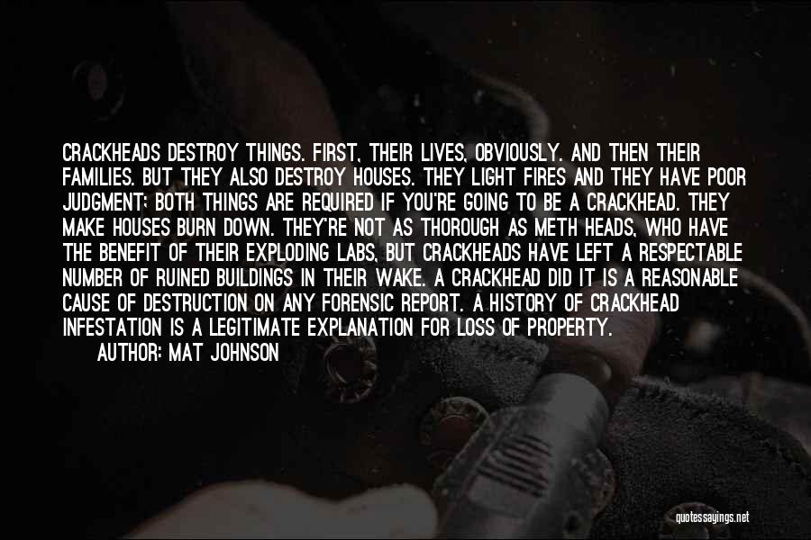 Mat Johnson Quotes: Crackheads Destroy Things. First, Their Lives, Obviously. And Then Their Families. But They Also Destroy Houses. They Light Fires And