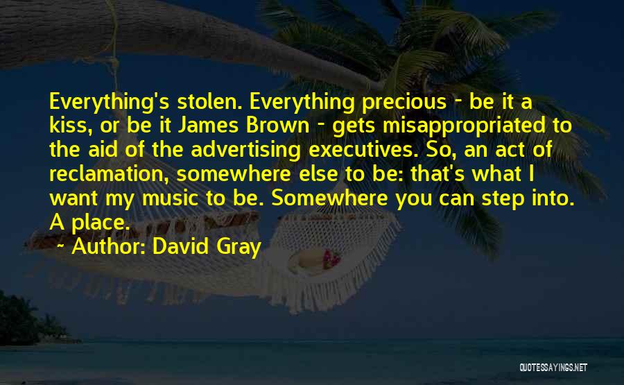 David Gray Quotes: Everything's Stolen. Everything Precious - Be It A Kiss, Or Be It James Brown - Gets Misappropriated To The Aid