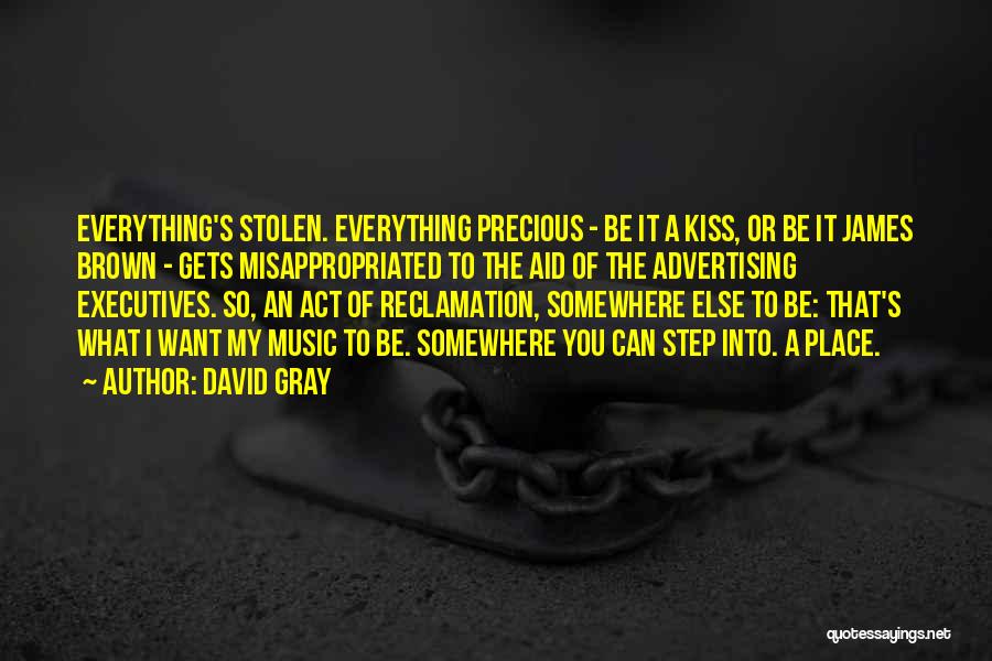 David Gray Quotes: Everything's Stolen. Everything Precious - Be It A Kiss, Or Be It James Brown - Gets Misappropriated To The Aid