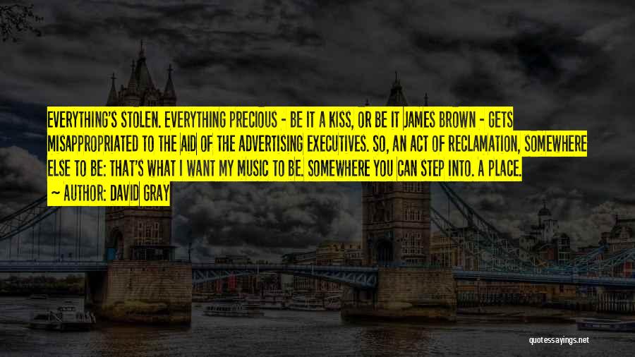 David Gray Quotes: Everything's Stolen. Everything Precious - Be It A Kiss, Or Be It James Brown - Gets Misappropriated To The Aid