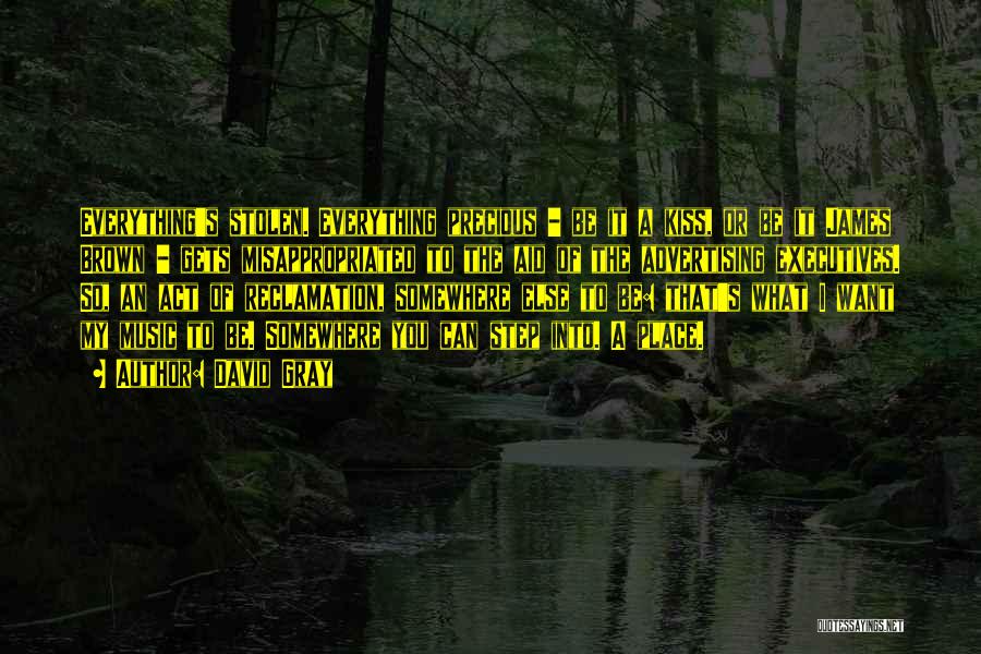 David Gray Quotes: Everything's Stolen. Everything Precious - Be It A Kiss, Or Be It James Brown - Gets Misappropriated To The Aid