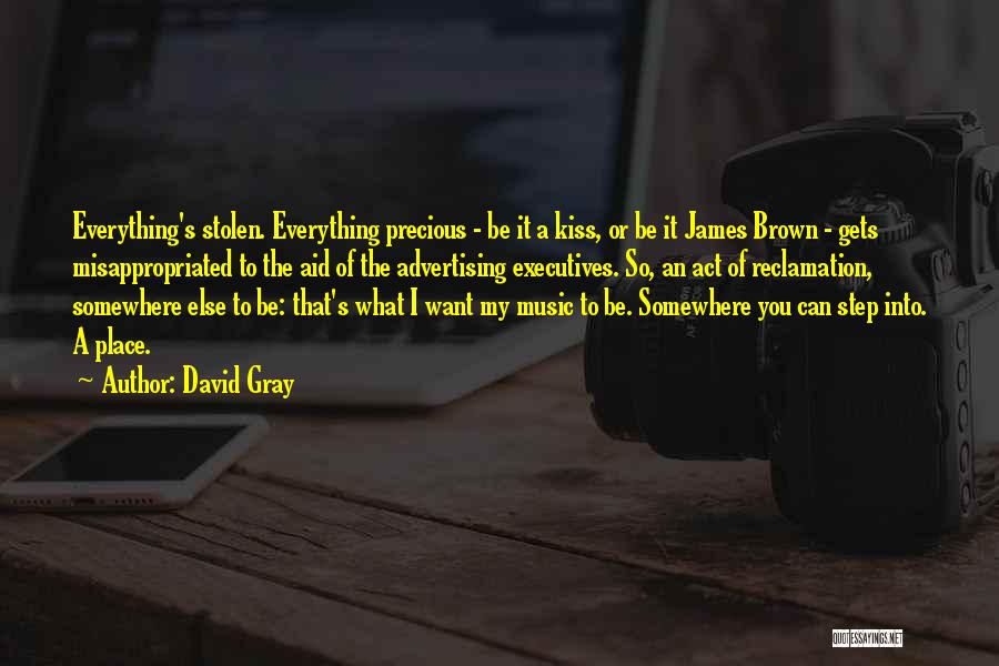 David Gray Quotes: Everything's Stolen. Everything Precious - Be It A Kiss, Or Be It James Brown - Gets Misappropriated To The Aid