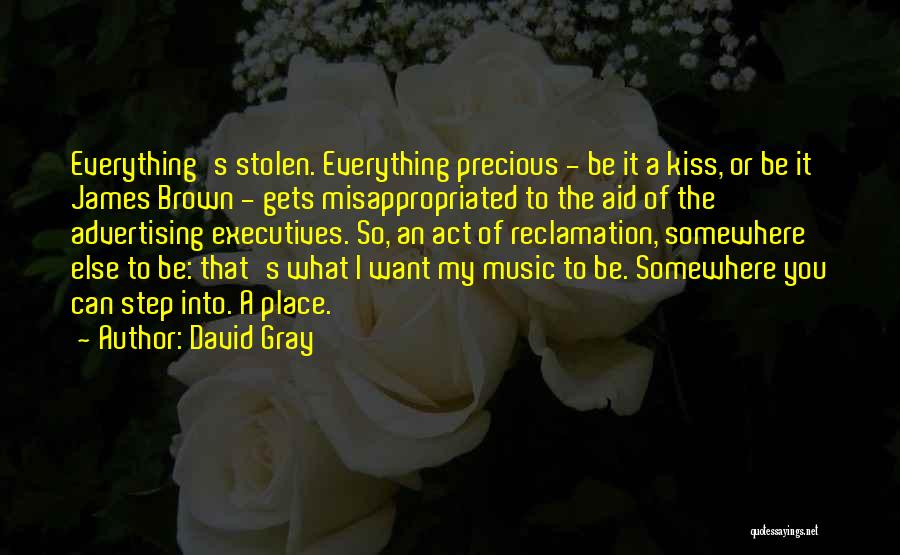 David Gray Quotes: Everything's Stolen. Everything Precious - Be It A Kiss, Or Be It James Brown - Gets Misappropriated To The Aid