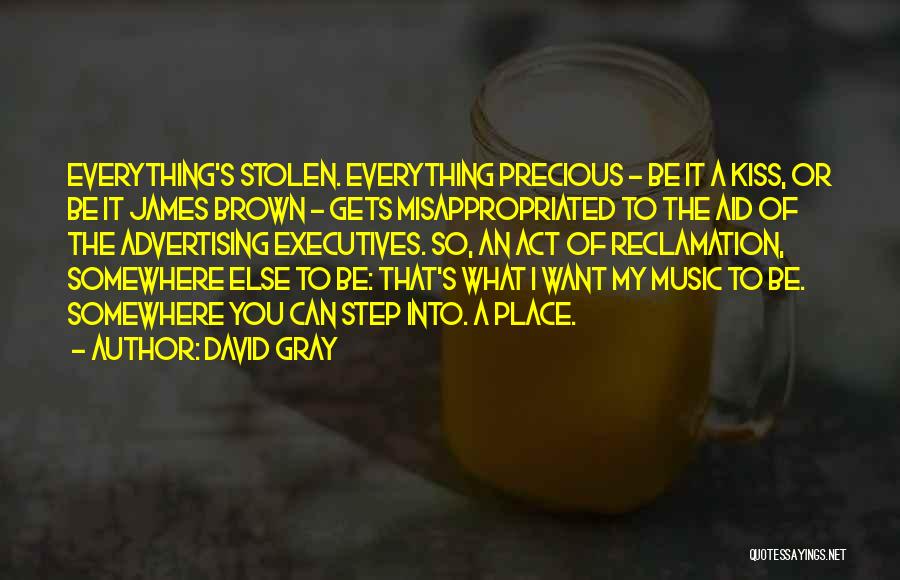 David Gray Quotes: Everything's Stolen. Everything Precious - Be It A Kiss, Or Be It James Brown - Gets Misappropriated To The Aid