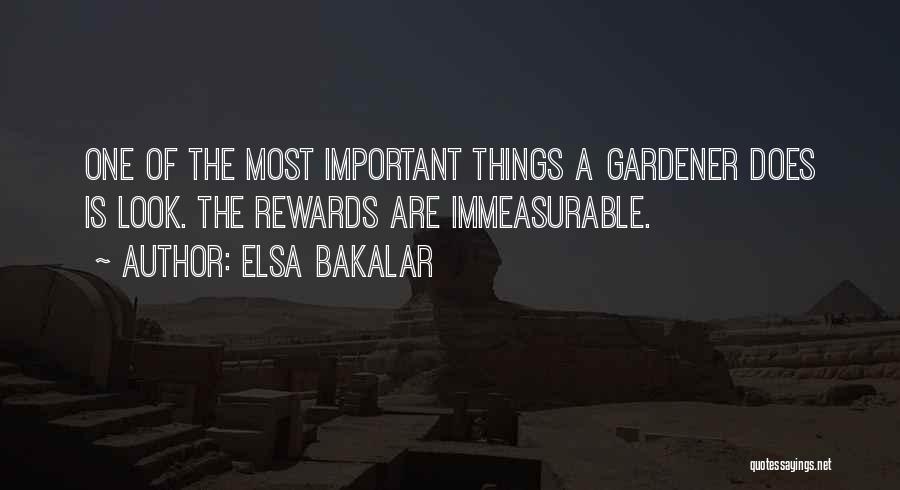 Elsa Bakalar Quotes: One Of The Most Important Things A Gardener Does Is Look. The Rewards Are Immeasurable.