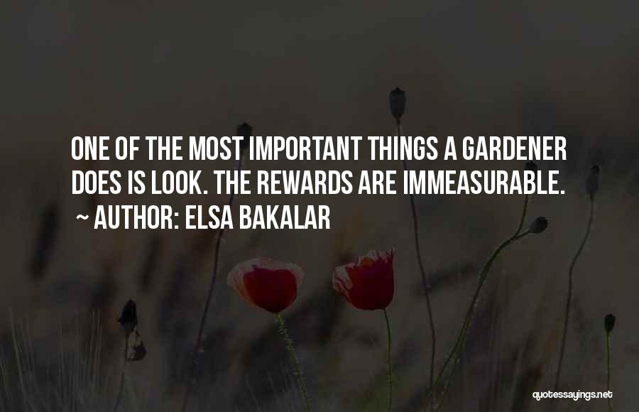 Elsa Bakalar Quotes: One Of The Most Important Things A Gardener Does Is Look. The Rewards Are Immeasurable.