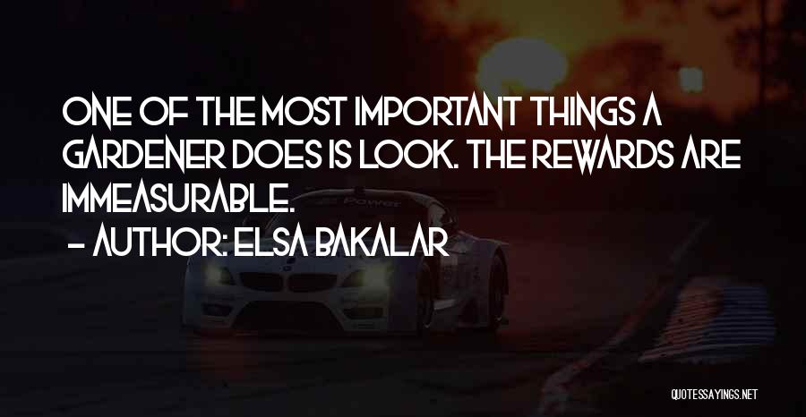 Elsa Bakalar Quotes: One Of The Most Important Things A Gardener Does Is Look. The Rewards Are Immeasurable.