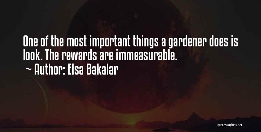 Elsa Bakalar Quotes: One Of The Most Important Things A Gardener Does Is Look. The Rewards Are Immeasurable.