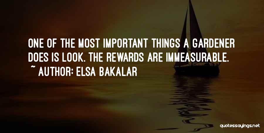 Elsa Bakalar Quotes: One Of The Most Important Things A Gardener Does Is Look. The Rewards Are Immeasurable.