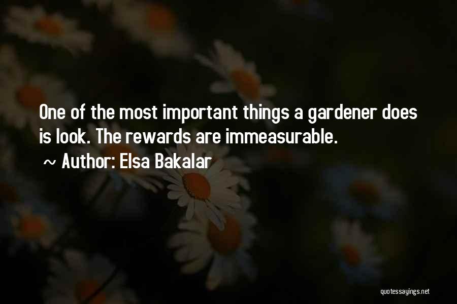 Elsa Bakalar Quotes: One Of The Most Important Things A Gardener Does Is Look. The Rewards Are Immeasurable.