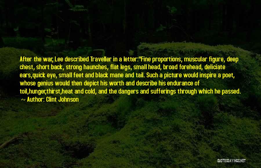 Clint Johnson Quotes: After The War, Lee Described Traveller In A Letter:fine Proportions, Muscular Figure, Deep Chest, Short Back, Strong Haunches, Flat Legs,