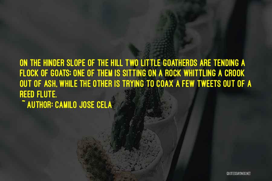 Camilo Jose Cela Quotes: On The Hinder Slope Of The Hill Two Little Goatherds Are Tending A Flock Of Goats; One Of Them Is