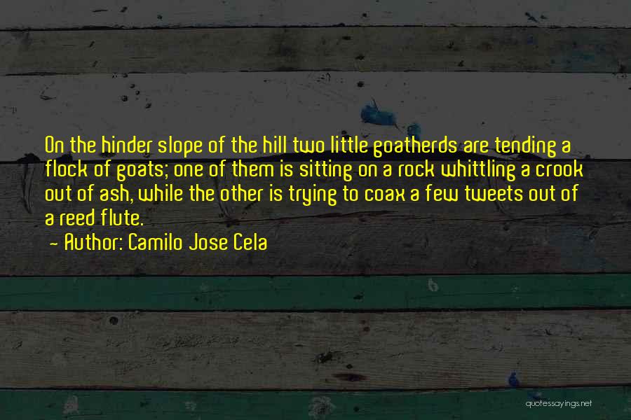 Camilo Jose Cela Quotes: On The Hinder Slope Of The Hill Two Little Goatherds Are Tending A Flock Of Goats; One Of Them Is